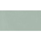 Peronda Planet Silver/R soft  60X120 