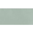 Peronda Planet Silver/R soft  60X120 