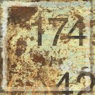 PerondaT.Oxik /R  19,5 x19,5