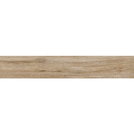 Peronda Grove-H/R  19,5X121,5 