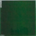 Equipe Evolution Victorian Green 15x15