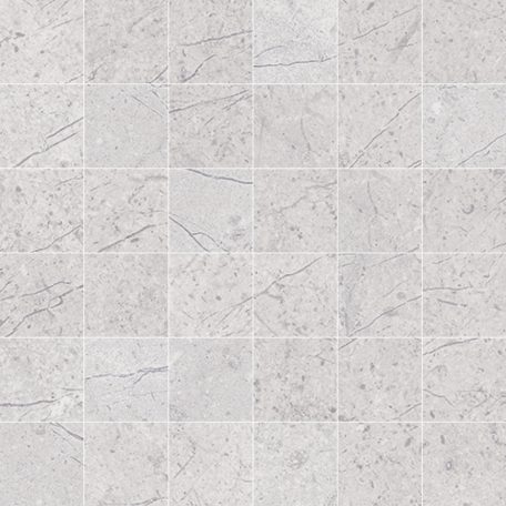Peronda D.Alpine Grey Mosaic /R/C All In One  30X30 