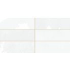 Peronda FS Tradition Brick White  LT  20x40