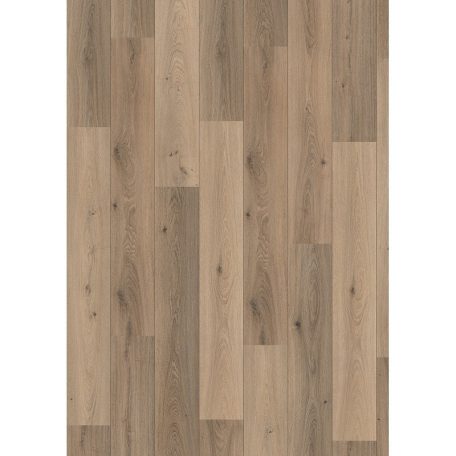 Egger Pro Classic 7/31 Oak Trilogy Cappuccino Laminált Padló Epl037