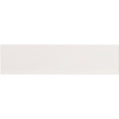 Equipe Evolution Blanco 10x40