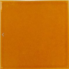 Equipe Evolution Amber 15x15
