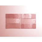 Equipe Artisan Rose Mallow 6,5x20