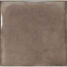 Equipe Splendours Brown 15x15
