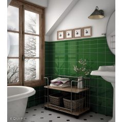 Equipe Evolution Inmetro Victorian Green 7,5x15