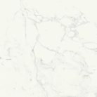 Ragno Imperiale Bianco/R  60x60