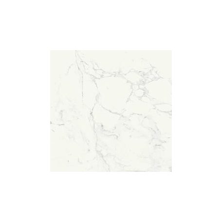 Ragno Imperiale Bianco/R  60x60