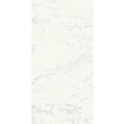 Ragno Imperiale Bianco/R  60x60