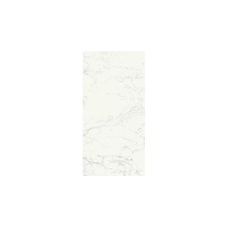 Ragno Imperiale Bianco/R  60x60