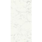 Ragno Imperiale Bianco/R  60x60