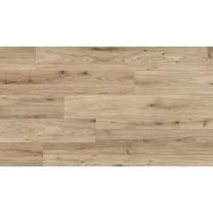   Kaindl Michigan Detroit Laminált Padló K2591Eg 7Mm Ac5 2,67 Vízálló M2/Csomag