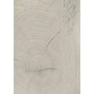 Kaindl Fresco Leave Laminált Padló K4384Re 10Mm Ac4 1,76 M2/Csomag