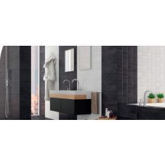 Argenta Bora 20x50